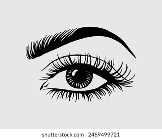 Eyelashes set on white background, illustration, beauty, eyelash, lash, vector, false, eye, isolated, girl, salon, vector illustration, mascara.eps
