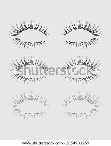 Eyelashes set on white background, vector illustration, eyelash, lash, vector, false, eye, isolated, illustration, mascara, beauty, girl, salon