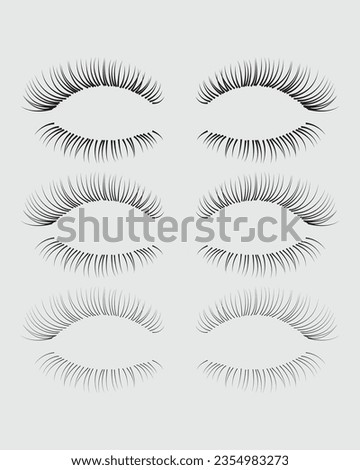 Eyelashes set on white background, girl, salon, vector illustration, mascara, beauty, eyelash, lash, vector, false, eye, isolated, illustration