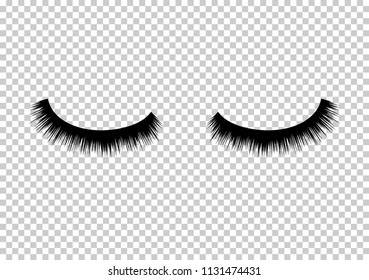 Eyelashes vector beauty makeup. Long eye fashion. Female eyelashes glamour.