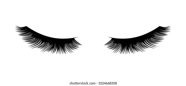 Eyelashes vector illustration