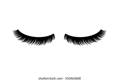 Long Black Lashes Vector Illustration Beautiful Stock Vector (Royalty ...