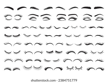 Eyelashes Vector For Print, Eyelashes Clipart, Eyelashes vector Illustration