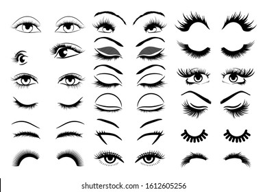 Eyelashes vector set collection graphic clipart design