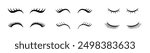 Eyelashes vector woman icon set. Female eye lashes beautiful collection.