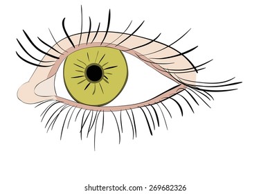 eyes