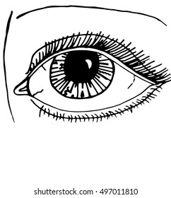 Eyes