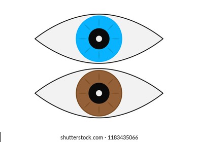Eyes of blue and brown color.