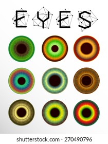 Eyes collection. Human pupil. Creative label and bubbles