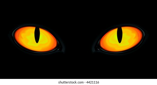 Eyes in the dark