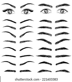 Eyes  eyebrow   women and man vector
