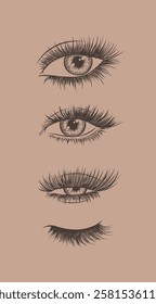 Eyes and eyelash collection drawing in graphic art style on brown background