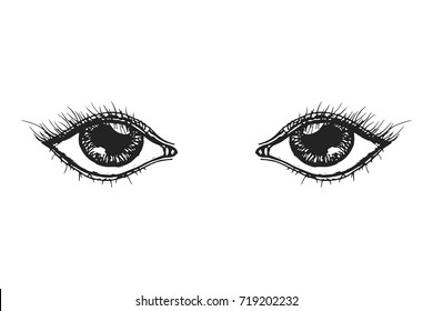Eyes. Hand drawn sketch. Vector illustration isolated on white background