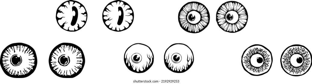 Eyes illustration. Iris decorative image. Circle vector line sketch.