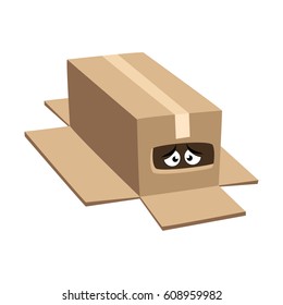 Eyes Inside Cardboard Box/Illustration