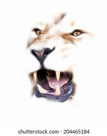 Eyes and jaws of Asian lion, isolated on white background. King of beasts, the biggest cat, shows his huge fangs. The most dangerous predator with open chaps. Amazing vector image.