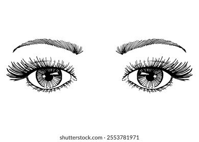 Eyes with lashes sketch isolated on white background. Fashion vector illustration.