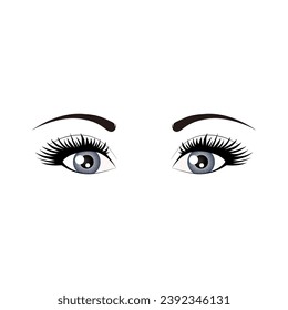 Eyes logo. Gray-blue eyes on a transparent background. Vector illustration.