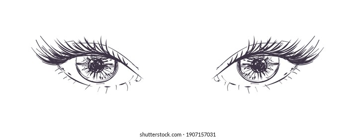 Eyes with the long lashes made in hand drawn technique. Vector illustration.