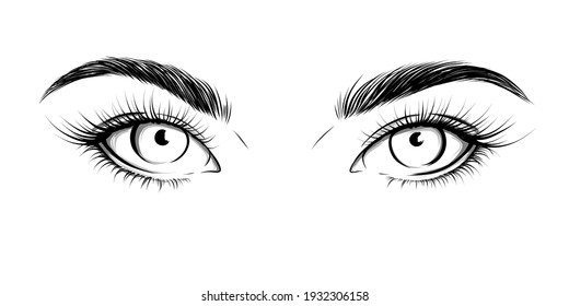 Eyes Looking Straight. Sexy Look. Fashion Illustration. Eye With Eyebrows And Long Eyelashes. Vector EPS 10.