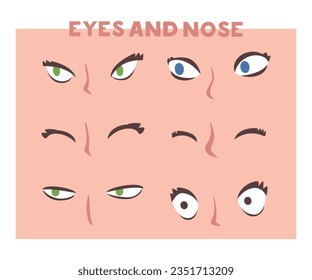 Eyes and Nose as Part of Human Face Vector Set