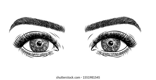 Eyes on white background. Hand Drawn Woman's Makeup Look With Shaped Eyebrows and Full Lashes. Idea for Salon Logo, Poster, and other. Vector Illustrations.