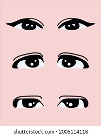 eyes pack illustration  vector human