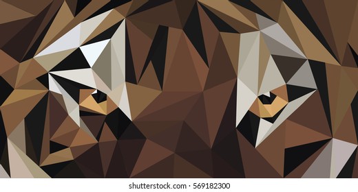 eyes of tiger low poly