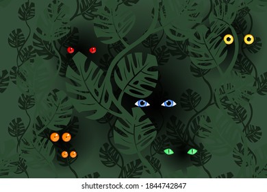 The eyes of various creatures in the jungle