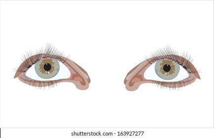Eyes. Vector