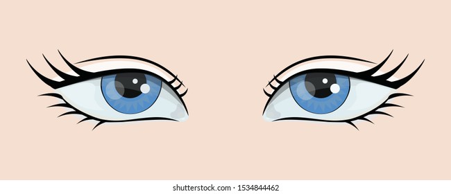 eyes vector - illustration beautiful eyes