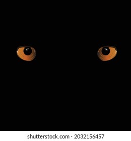 eyes vector illustration dark background