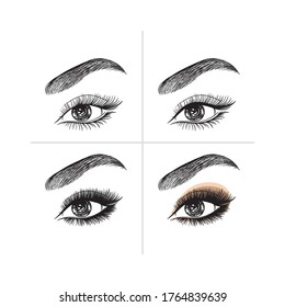 Eyes without makeup. Eyes with makeup.Step by step.Beautiful female eye isolated on a white background.Eyebrows, eyelashes, shadows.Vector stock illustration template.Eye makeup tutorial.