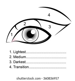 Eyeshadow Guides