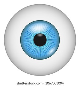 Eyesight icon. Realistic illustration of eyesight vector icon for web