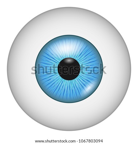Eyesight icon. Realistic illustration of eyesight vector icon for web
