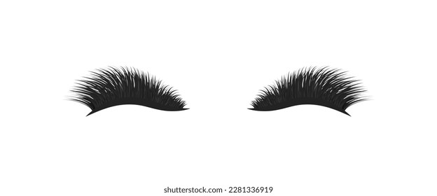 Eylashes vector Illustration. Extra full false lashes with 3d effect. Good choice for lashmaking card, logotype, training posters, beauty salon wallpaper. isolated on a white background