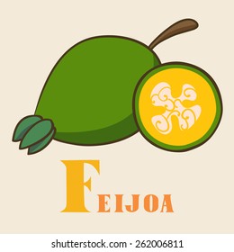 F for feijoa. Vector Illustration, hand-drawn style