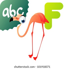 F is for Flamingo