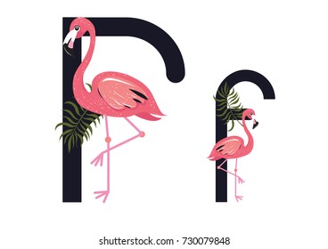 F Letter Flamingo Vector