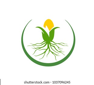 FAARM VECTOR LOGO