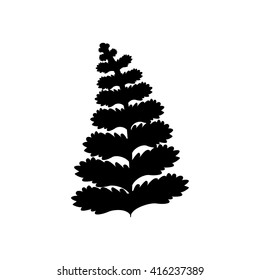 Fabaceae vector icon