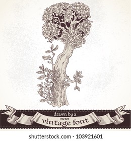 Fable forest hand drawn by a vintage font - I