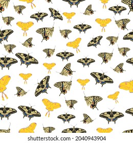 Patrón sin soldadura de mariposa de cola de cerda