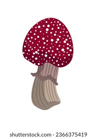 Fabulous autumn forest mushroom fly agaric with white dots.