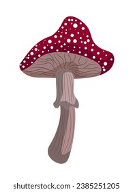 A fabulous autumn forest mushroom, fly agaric, with white dots on a long stalk with a skirt.