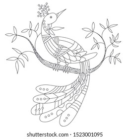 a fabulous bird with patterns and a long tail sits on a branch. Coloring book for children and adults. linear vector drawing