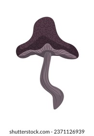 Fabulous forest autumn brown mushroom on a stalk with a brown cap.