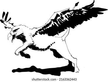 Fabulous Griffin creature with open wings. Mythical creature. Black ink vector illustration isolated on a white background. 