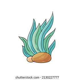 Fabulous illustrations and design elements. Illustration in hand draw style